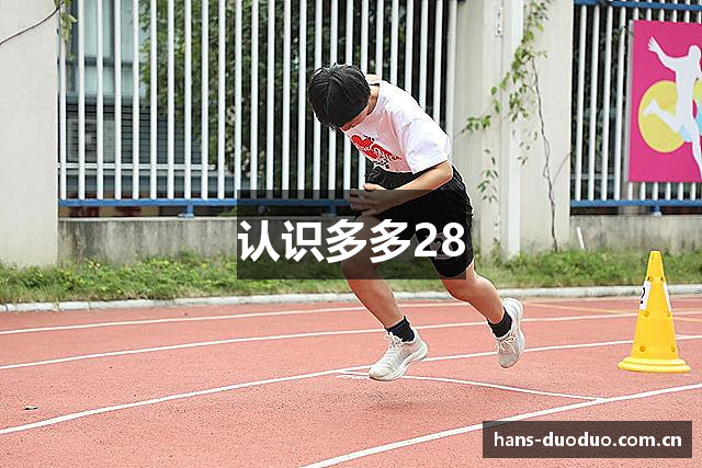 认识多多28